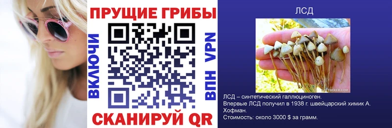 Псилоцибиновые грибы MAGIC MUSHROOMS  где купить   Нижнекамск 